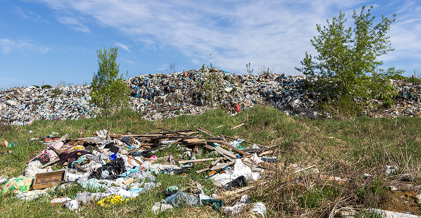 Земельный участок размещения свалки твердых бытовых отходов, предполагаемой под рекультивацию в г. Бологое, ИЭИ